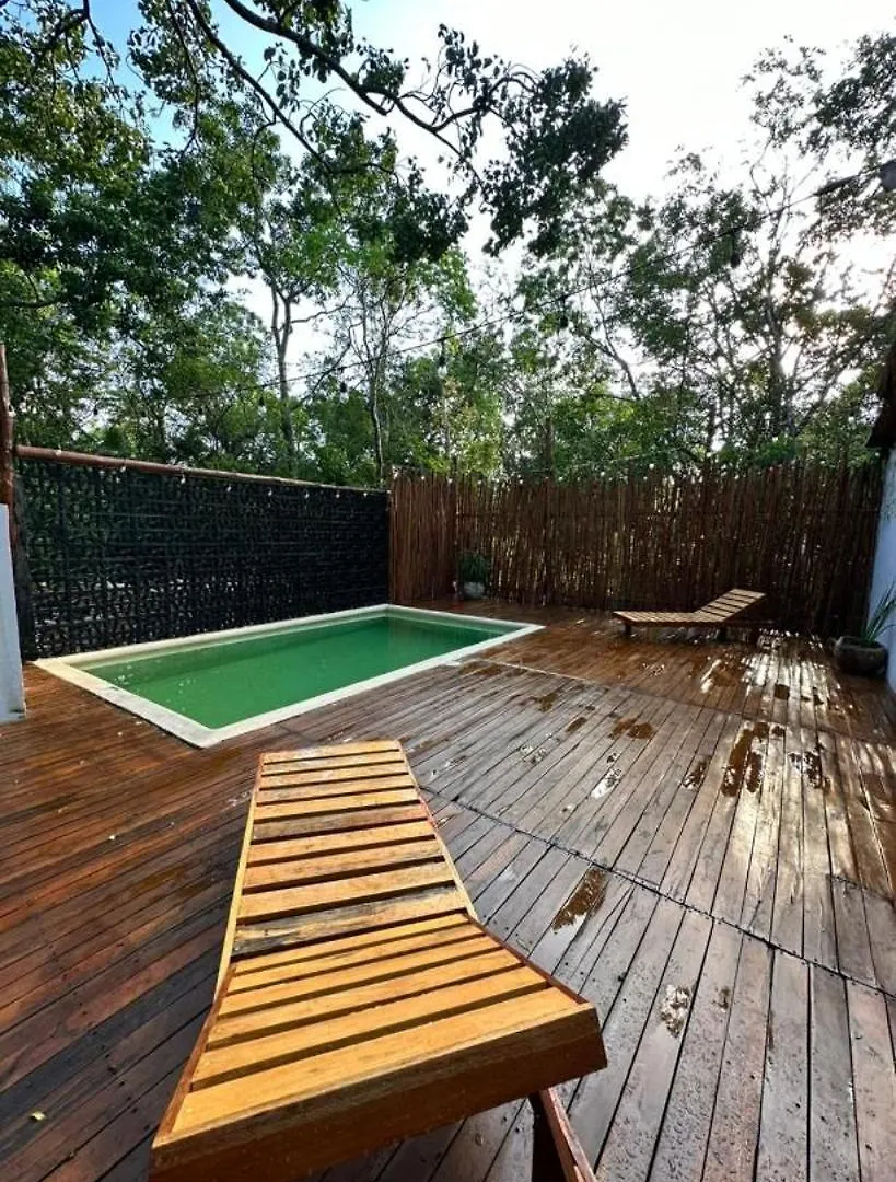 Pensionat X-Haa Hotell Tulum Mexiko